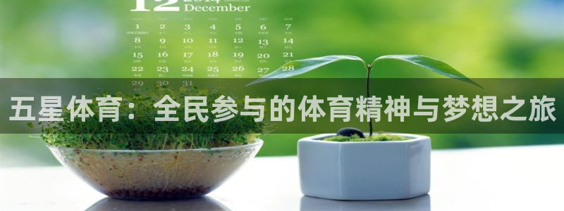 海南vsport体育官网下载