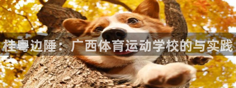 德国vsport体育官方正版app集团